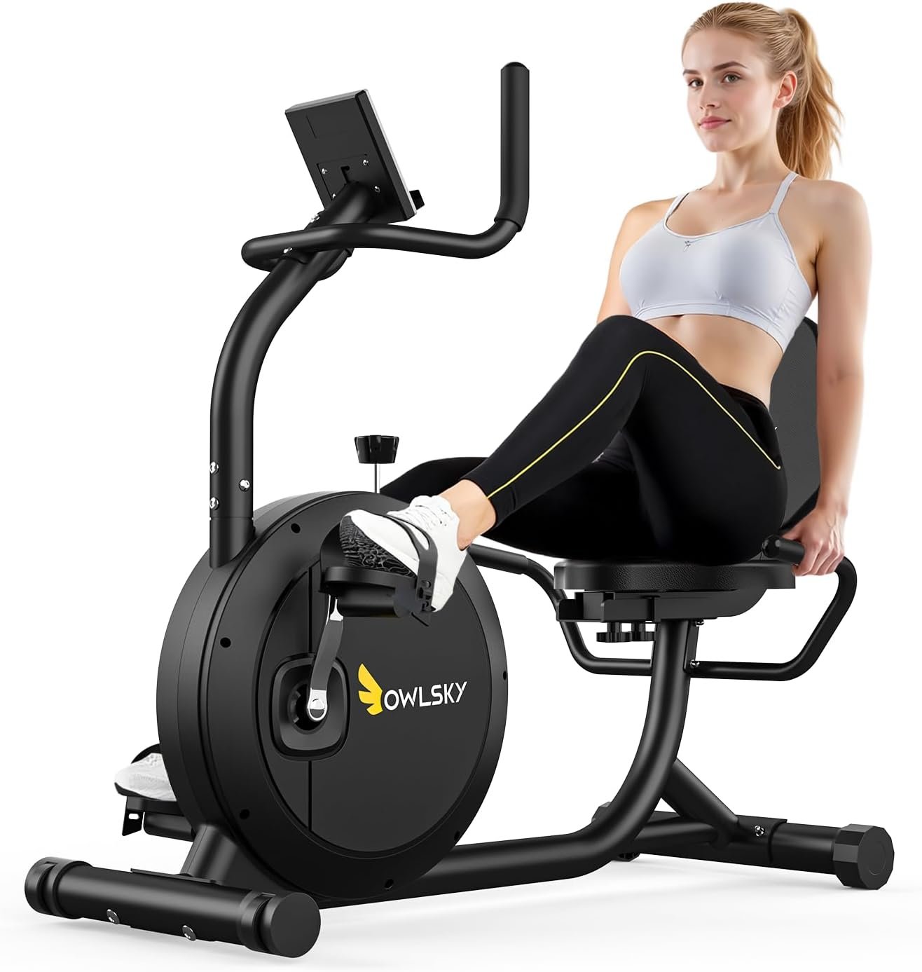 OWLSKY Recumbent Exercise Bike for Home Gym, Magnetic Stationary Bike with 16-Level Resistance, Quiet 15LBS Flywheel, 300LBS Capacity, Low-Impact Cardio & Physical Therapy
